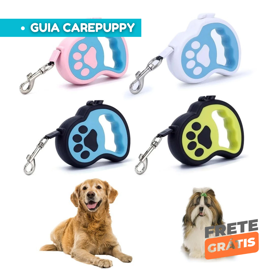 artes escova á vapor (8)